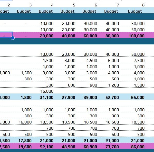 Budget & P&L Excel template